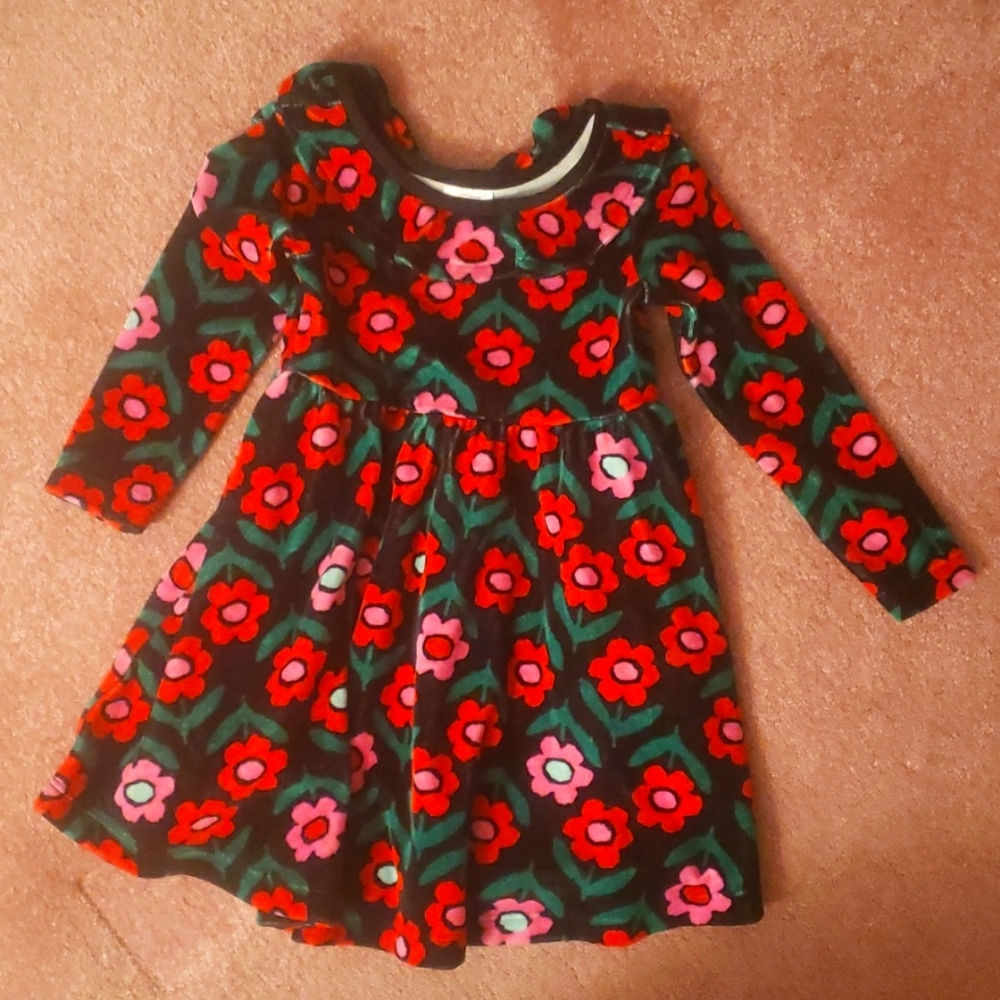 Hanna Anderson flower velvet dress